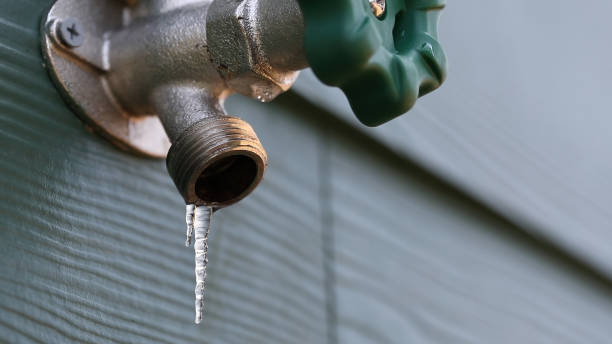 Best Same-Day Plumbing Service  in Flower Hill, MD